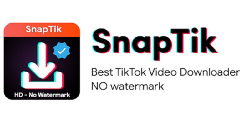 How to Download TikTok Videos Using SnapTik | Review & Alternatives