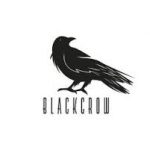 New York-based Black Crow AI, which delivers predictive analytics to e-commerce retailers, raises a $25M Series A led by Imaginary Ventures (Kyle Wiggers/TechCrunch)